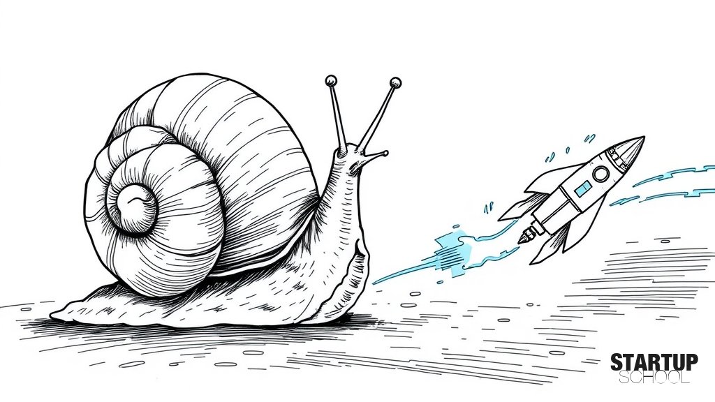 우리가 직접 구축한 DNS 서버 구축 과정